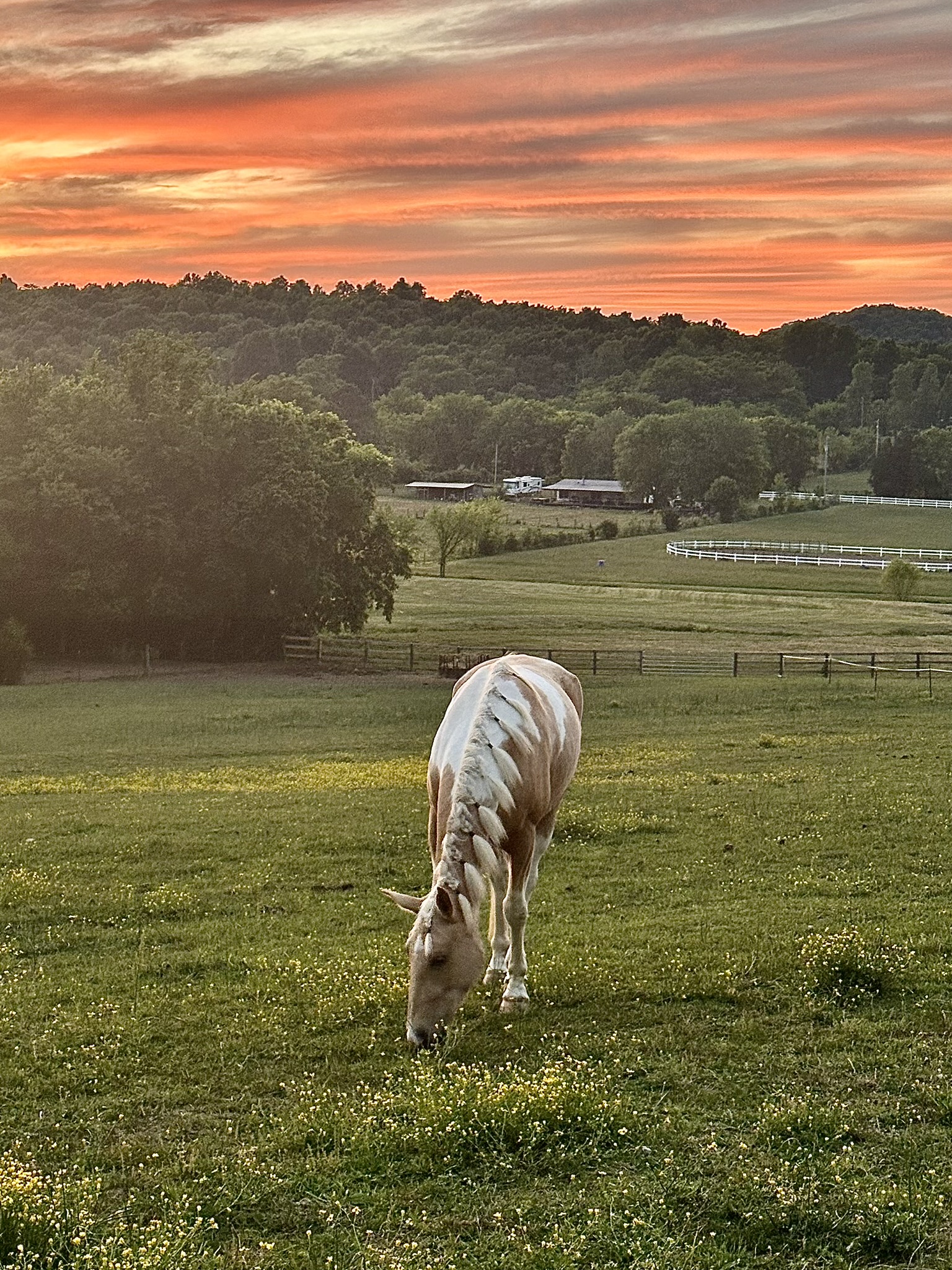 A moment at the barn