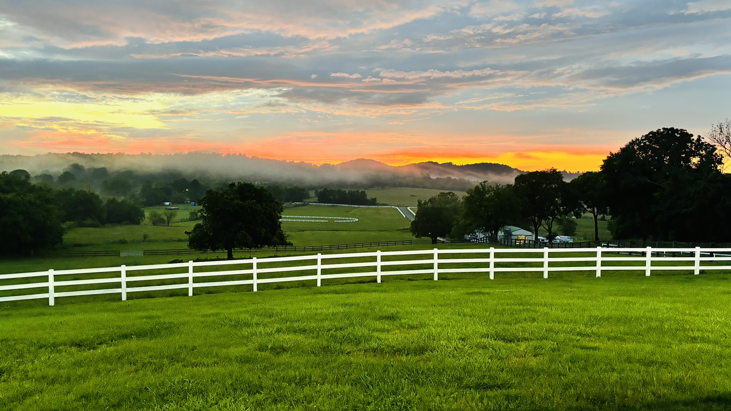A moment at the farm